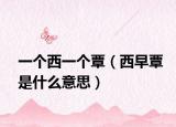 一個西一個覃（西早覃是什么意思）