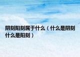 陰刻陽(yáng)刻屬于什么（什么是陰刻什么是陽(yáng)刻）