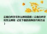 云南白藥牙膏怎么辨別真假（云南白藥牙膏怎么辨別  記住下面的選購技巧和方法）