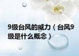 9級(jí)臺(tái)風(fēng)的威力（臺(tái)風(fēng)9級(jí)是什么概念）