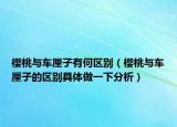 櫻桃與車?yán)遄佑泻螀^(qū)別（櫻桃與車?yán)遄拥膮^(qū)別具體做一下分析）