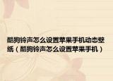 酷狗鈴聲怎么設(shè)置蘋果手機動態(tài)壁紙（酷狗鈴聲怎么設(shè)置蘋果手機）