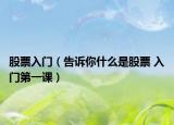 股票入門(mén)（告訴你什么是股票 入門(mén)第一課）