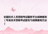 全國技術(shù)人員資格考試服務(wù)平臺成績查詢（專業(yè)技術(shù)資格考試報名與成績查詢方法）