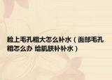 臉上毛孔粗大怎么補(bǔ)水（面部毛孔粗怎么辦 給肌膚補(bǔ)補(bǔ)水）