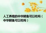 人工養(yǎng)殖的中華鱘魚可以吃嗎（中華鱘魚可以吃嗎）