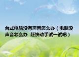 臺(tái)式電腦沒有聲音怎么辦（電腦沒聲音怎么辦  趕快動(dòng)手試一試吧）