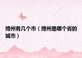 博州有幾個(gè)市（博州是哪個(gè)省的城市）