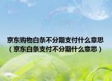 京東購(gòu)物白條不分期支付什么意思（京東白條支付不分期什么意思）