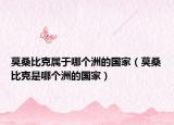 莫桑比克屬于哪個洲的國家（莫桑比克是哪個洲的國家）