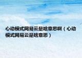 心動模式網(wǎng)易云是啥意思啊（心動模式網(wǎng)易云是啥意思）