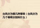 臺風分為哪幾種等級（臺風分為幾個等級分別叫什么）