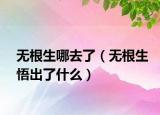 無(wú)根生哪去了（無(wú)根生悟出了什么）