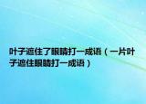 葉子遮住了眼睛打一成語(yǔ)（一片葉子遮住眼睛打一成語(yǔ)）