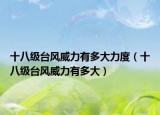 十八級臺風(fēng)威力有多大力度（十八級臺風(fēng)威力有多大）