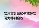 實習(xí)審計師如何稱呼實習(xí)為特別會議