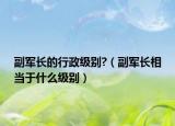 副軍長的行政級別?（副軍長相當于什么級別）
