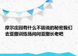 摩爾莊園有什么不能說的秘密我們?nèi)喨鲇柧殘鰡枂杹喨鲩L老吧