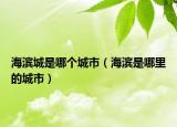 海濱城是哪個(gè)城市（海濱是哪里的城市）