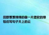 田野蔥蔥綠綠的像一片柔軟的綠毯仿寫(xiě)句子天上的云