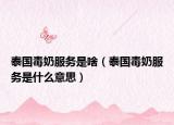 泰國毒奶服務(wù)是啥（泰國毒奶服務(wù)是什么意思）