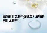 運(yùn)城有什么特產(chǎn)在哪里（運(yùn)城都有什么特產(chǎn)）