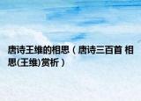 唐詩王維的相思（唐詩三百首 相思(王維)賞析）