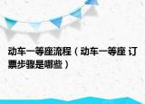 動車一等座流程（動車一等座 訂票步驟是哪些）