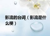 影流的臺詞（影流是什么梗）
