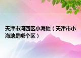 天津市河西區(qū)小海地（天津市小海地是哪個區(qū)）