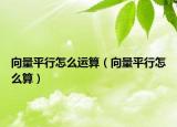 向量平行怎么運算（向量平行怎么算）