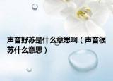 聲音好蘇是什么意思啊（聲音很蘇什么意思）