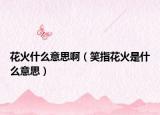 花火什么意思?。ㄐχ富ɑ鹗鞘裁匆馑迹? /></span></a>
                        <h2><a href=