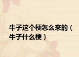 牛子這個梗怎么來的（牛子什么梗）