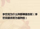 李世民為什么種那棵銀杏樹（李世民銀杏樹為誰種的）