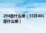294是什么梗（55開401是什么梗）