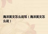 海洋英文怎么說寫（海洋英文怎么說）
