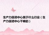 生產(chǎn)力促進中心屬于什么行業(yè)（生產(chǎn)力促進中心干嘛的）
