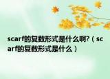 scarf的復(fù)數(shù)形式是什么啊?（scarf的復(fù)數(shù)形式是什么）