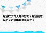 蛇蛋吃了對人身體好嗎（蛇蛋能吃嗎吃了對身體有沒有害處）