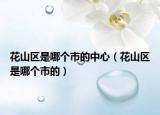 花山區(qū)是哪個市的中心（花山區(qū)是哪個市的）