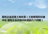 國有企業(yè)改革土地處置（土地使用權(quán)價(jià)值評估 國有企業(yè)改制中處置的幾個(gè)問題）
