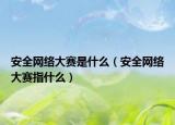 安全網(wǎng)絡(luò)大賽是什么（安全網(wǎng)絡(luò)大賽指什么）