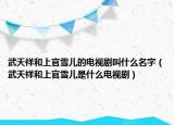 武天祥和上官雪兒的電視劇叫什么名字（武天祥和上官雪兒是什么電視劇）