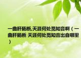 一曲肝腸斷,天涯何處覓知音?。ㄒ磺文c斷 天涯何處覓知音出自哪里）