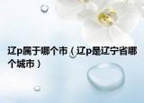 遼p屬于哪個市（遼p是遼寧省哪個城市）