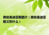 奧茲曼迪亞斯圖片（奧茲曼迪亞斯又稱什么）