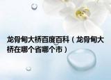 龍骨甸大橋百度百科（龍骨甸大橋在哪個(gè)省哪個(gè)市）