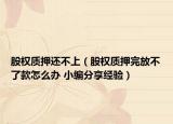 股權(quán)質(zhì)押還不上（股權(quán)質(zhì)押完放不了款怎么辦 小編分享經(jīng)驗(yàn)）