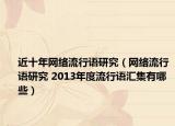 近十年網(wǎng)絡(luò)流行語研究（網(wǎng)絡(luò)流行語研究 2013年度流行語匯集有哪些）